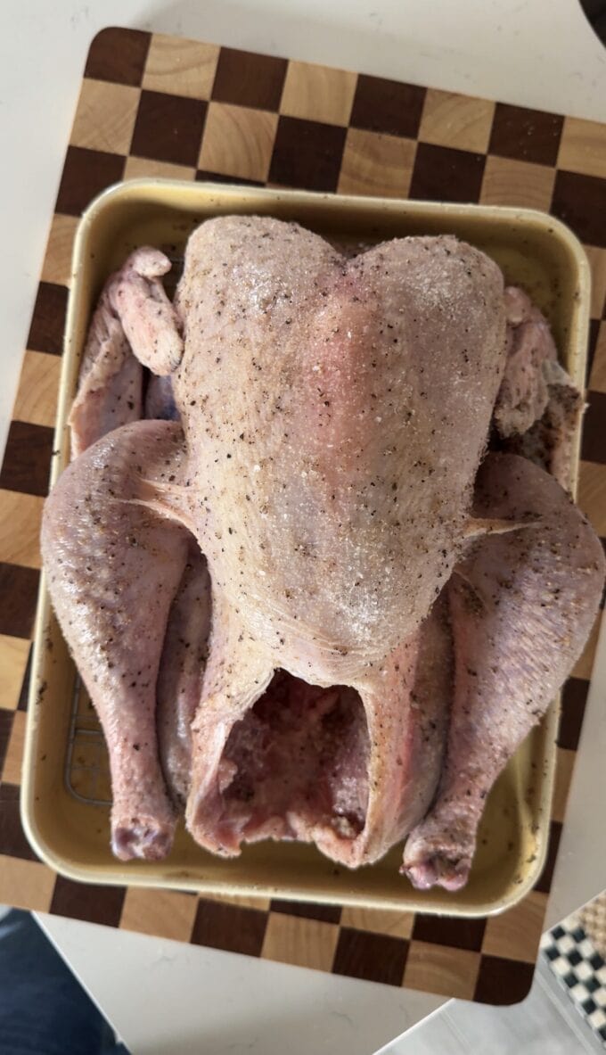 seasoned turkey in baking dish on cutting board