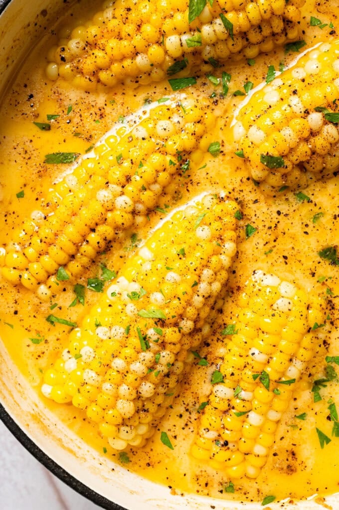 cajun milk-boiled corn on the cob in large pot