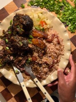 black hand holding plate with brown stew short ribs, rice, and cabbage
