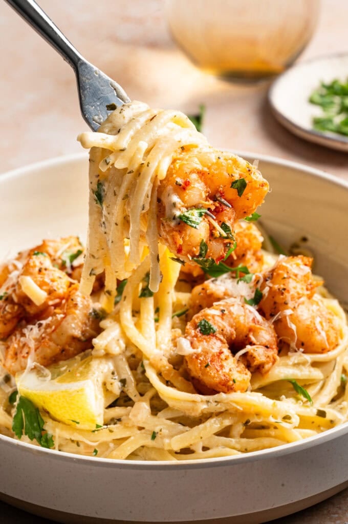 fork with creamy pasta and shrimp