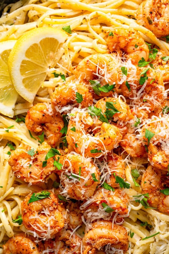 closeup of pasta with shrimp