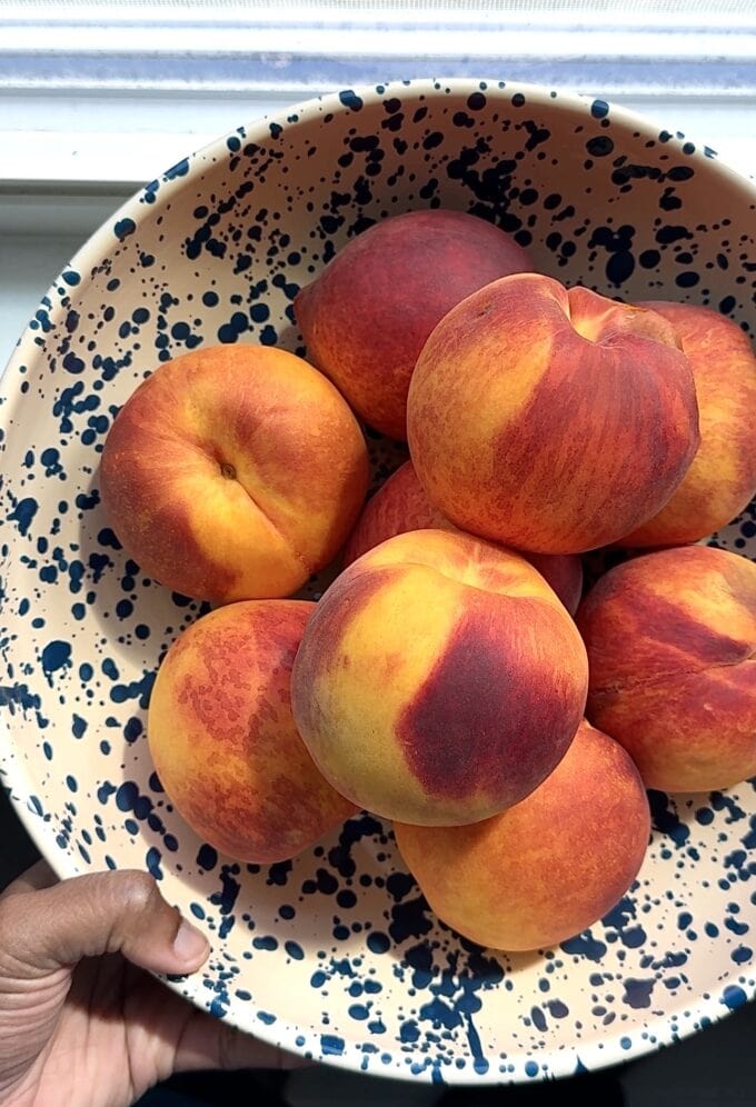 speckled bowl full of fresh peaches